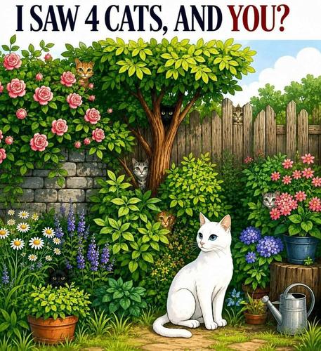 image 2026 06 08T123953.052.png