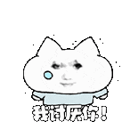 IMG 6223.gif