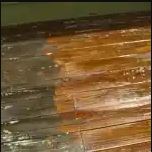 Professional Carpet Steam Cleaning for Homes & Businesses.jpg