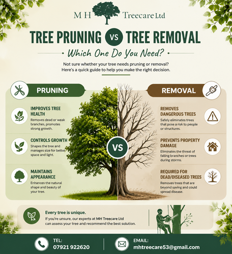 Tree Pruning vs Tree Removal Guide.2