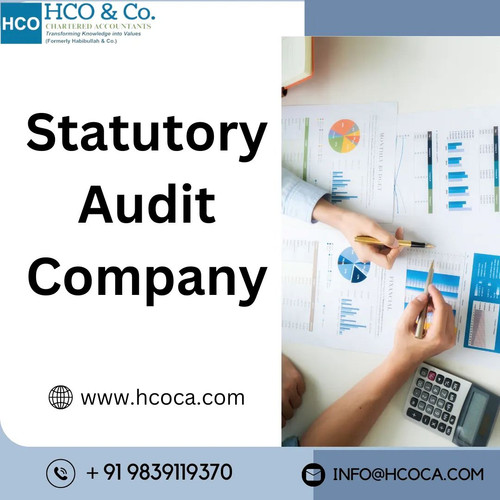 Choose a Statutory Audit Company That Understands Your Business.jpg
