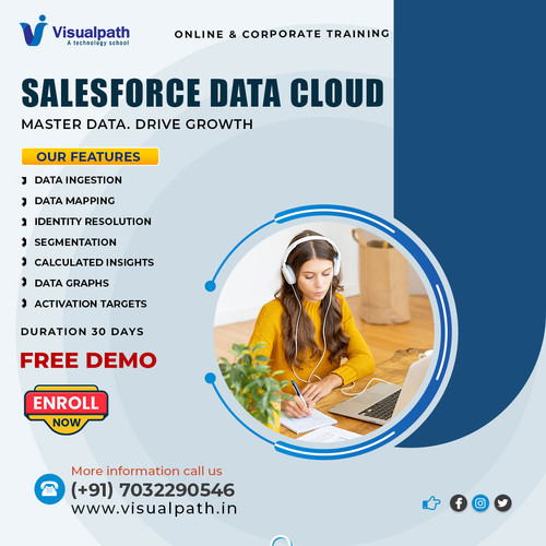 Salesforce Data Cloud Training Online | Live Expert Classes.jpg