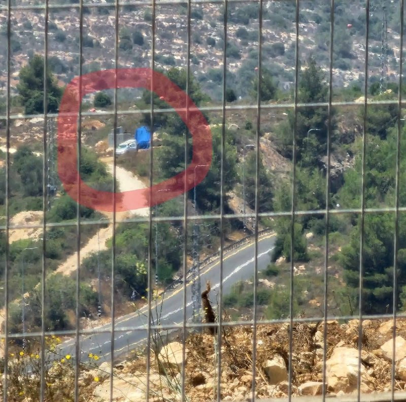 صورة الخبر