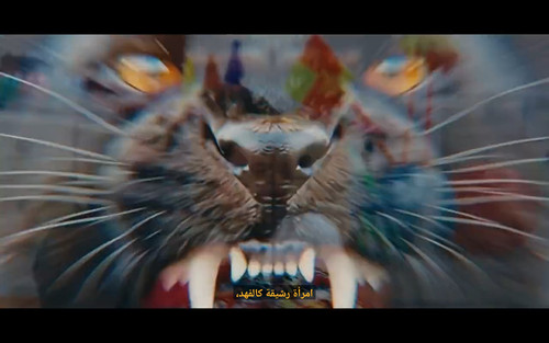 Screenshot ٢٠٢٦٠٨٠٧ ٢١٢٥٢٣ HiTV.jpg