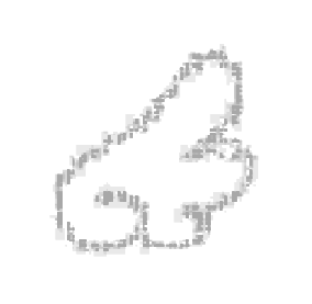 46494.png