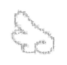 46493.png