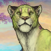 IMG 1278.png