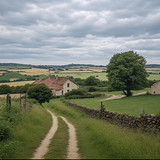 Image 0