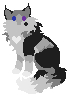 13.png