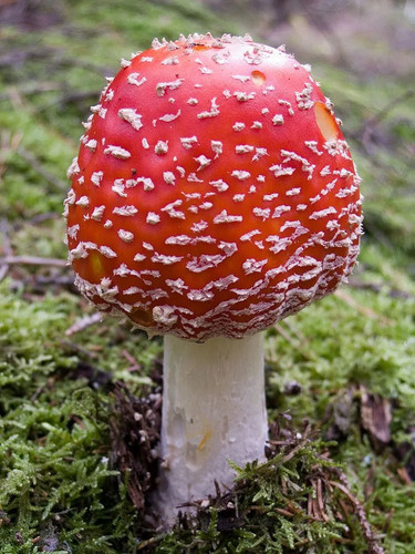 0b842231be21.jpg