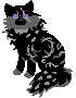 14.png