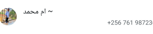 temp.png