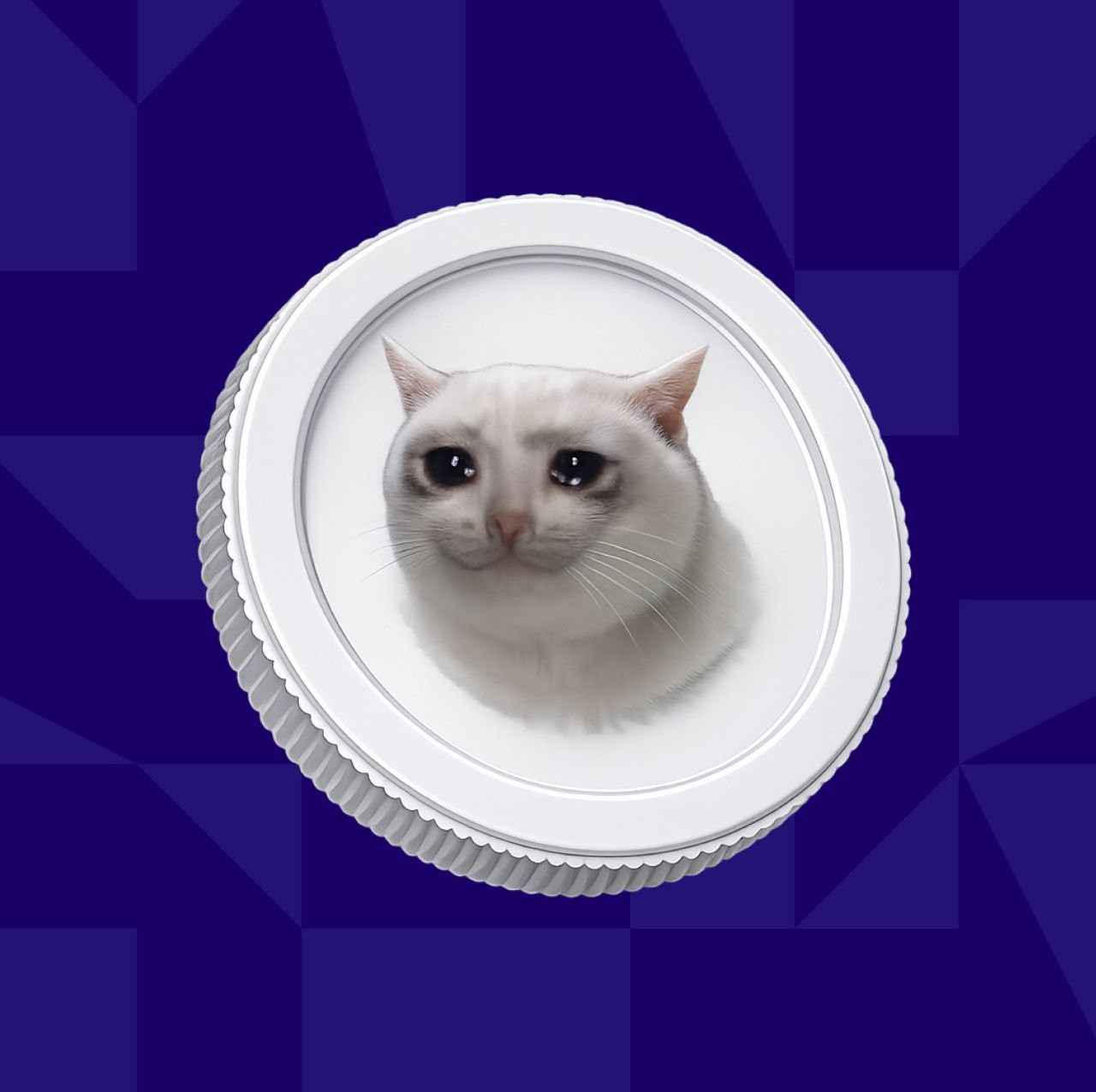 CATCAT logo