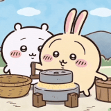 IMG 0242.gif