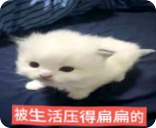 OplusInfoCollection 260801154139083.png