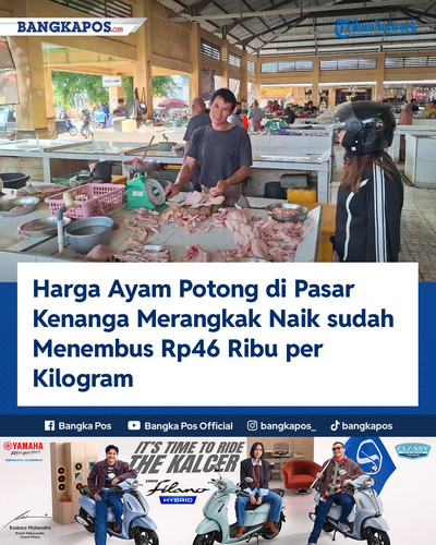 IG YAMAHA 20260806 161046 Harga Ayam Potong di Pasar Kenanga Meran.jpg