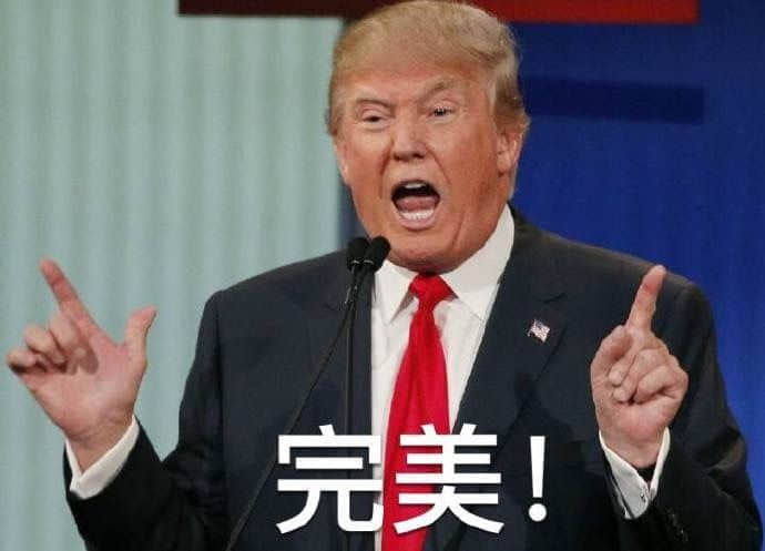 程序员 reaction:特朗普00018 完美