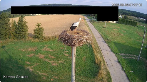 MWSnap193.jpg