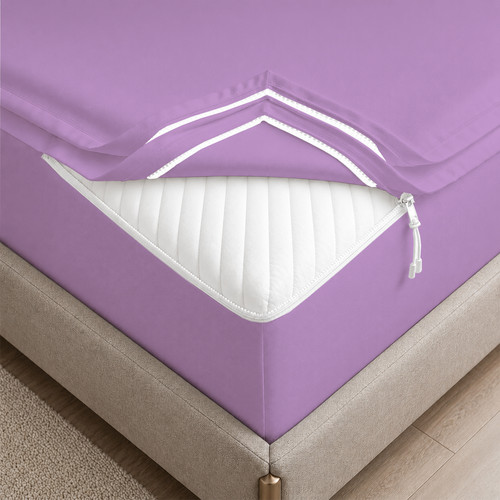 LAVENDER 01.jpg