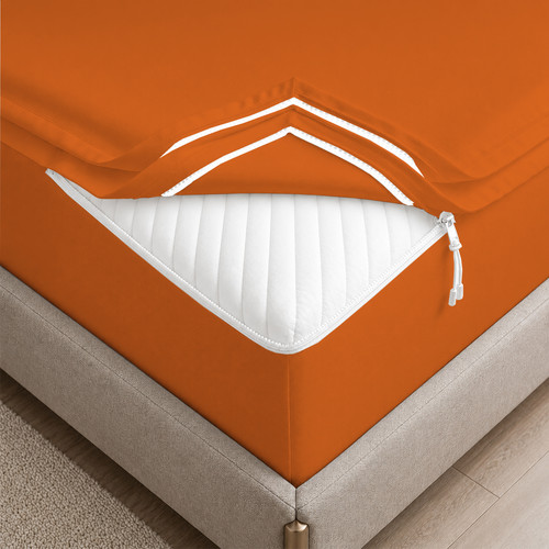 ORANGE 01.jpg