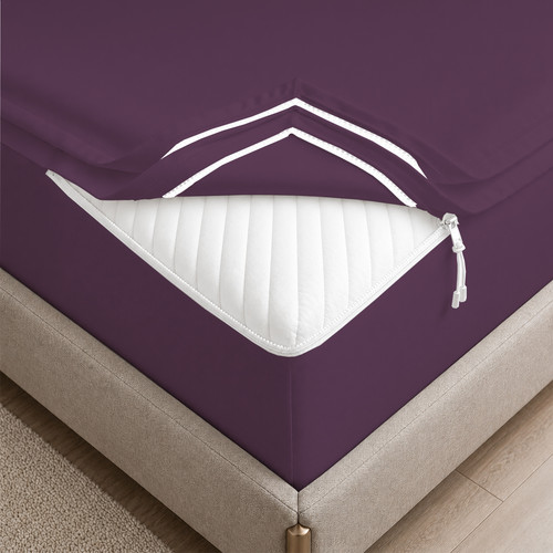 PLUM 01.jpg