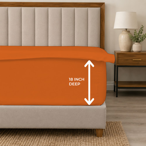 ORANGE 05.jpg