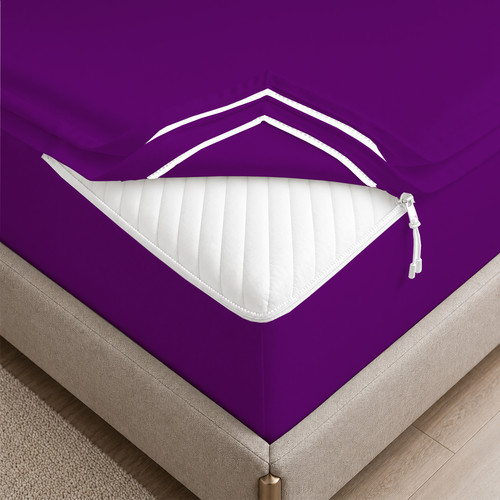 PURPLE 01.jpg