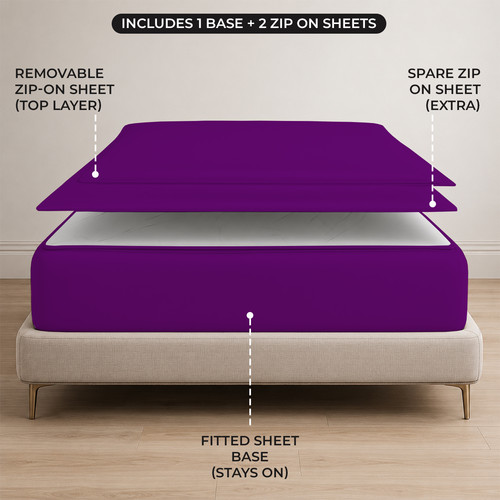 PURPLE 02.jpg