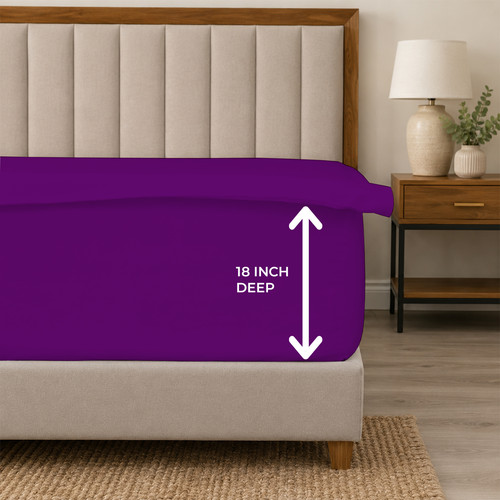 PURPLE 05.jpg