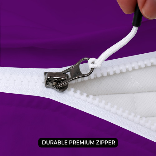 PURPLE 06.jpg