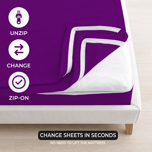 PURPLE 03.jpg