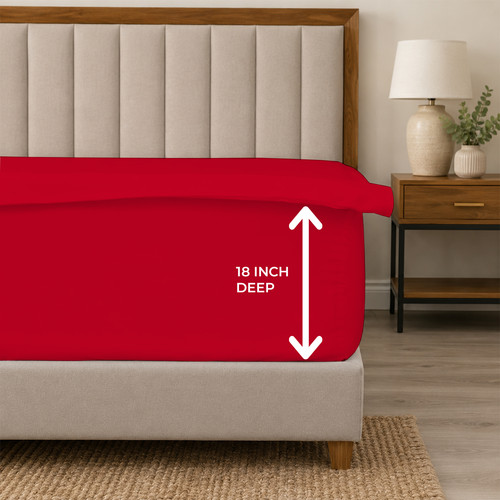 RED 05.jpg