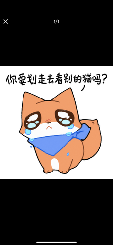 IMG 2417.png