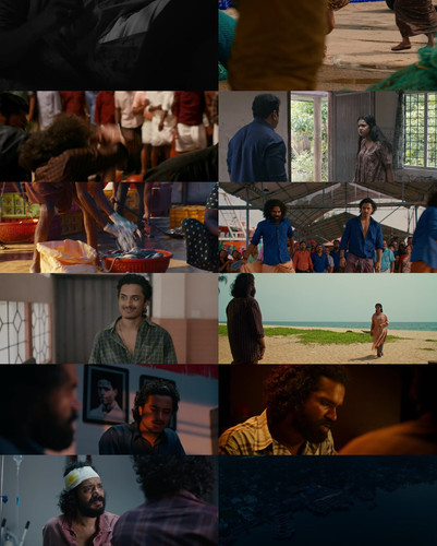 merged sheet.jpg