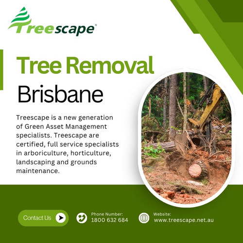 Tree Removal Brisbane.jpg