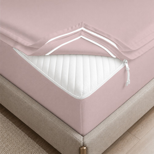 BLUSH 01.jpg