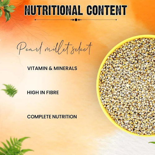 Buy Online Bird Food Store.png