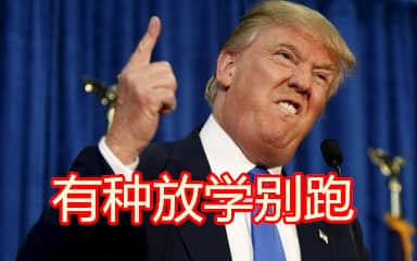 程序员 reaction:有种放学别跑