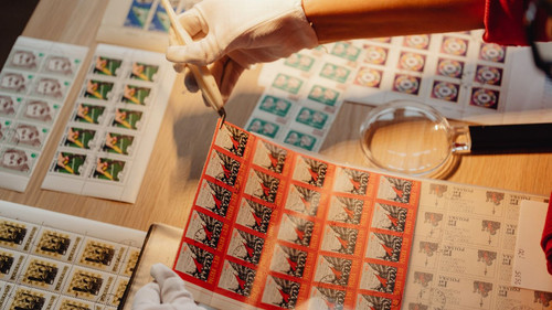 Custom Stickers Printing & Glass Stickers Printing Services Kamran Malik Events..jpg