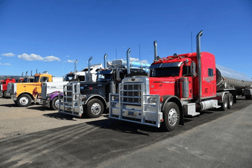 Fast International Shipping Tracking in Bahamas Services.gif