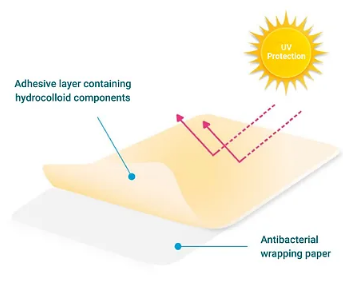 Trusted Hydrocolloid Manufacturer for Food & Industry.png