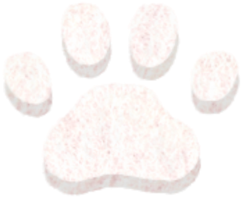 1000187388.png
