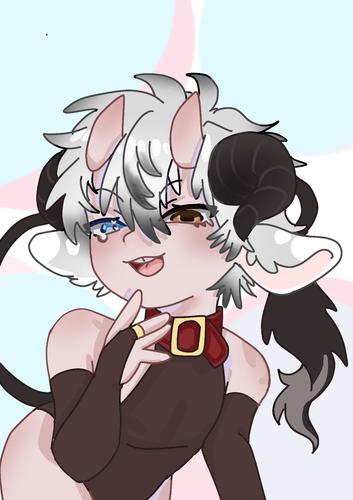Untitled584 1.png