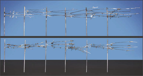 a4086d9cb080.png