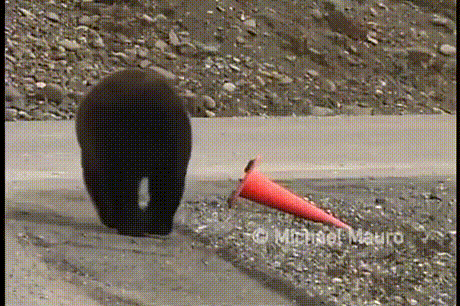 CrNZhXI.gif
