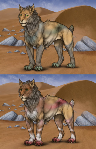 26849.jpg