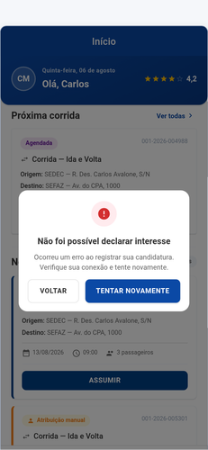 05 erro declarar.png