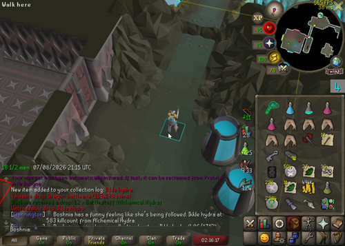RuneLite ger8VLBJLV.png