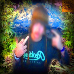 31a6c3e6df0f.png