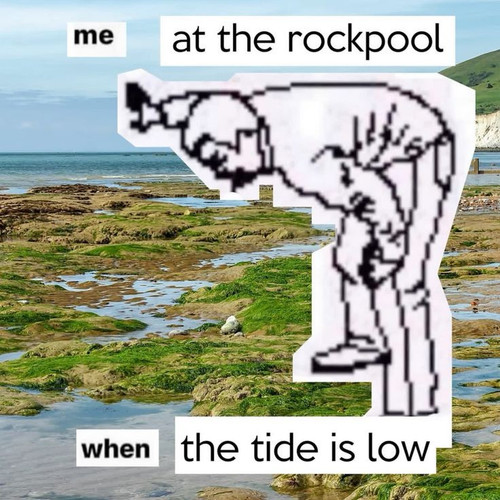 1000014906.jpg
